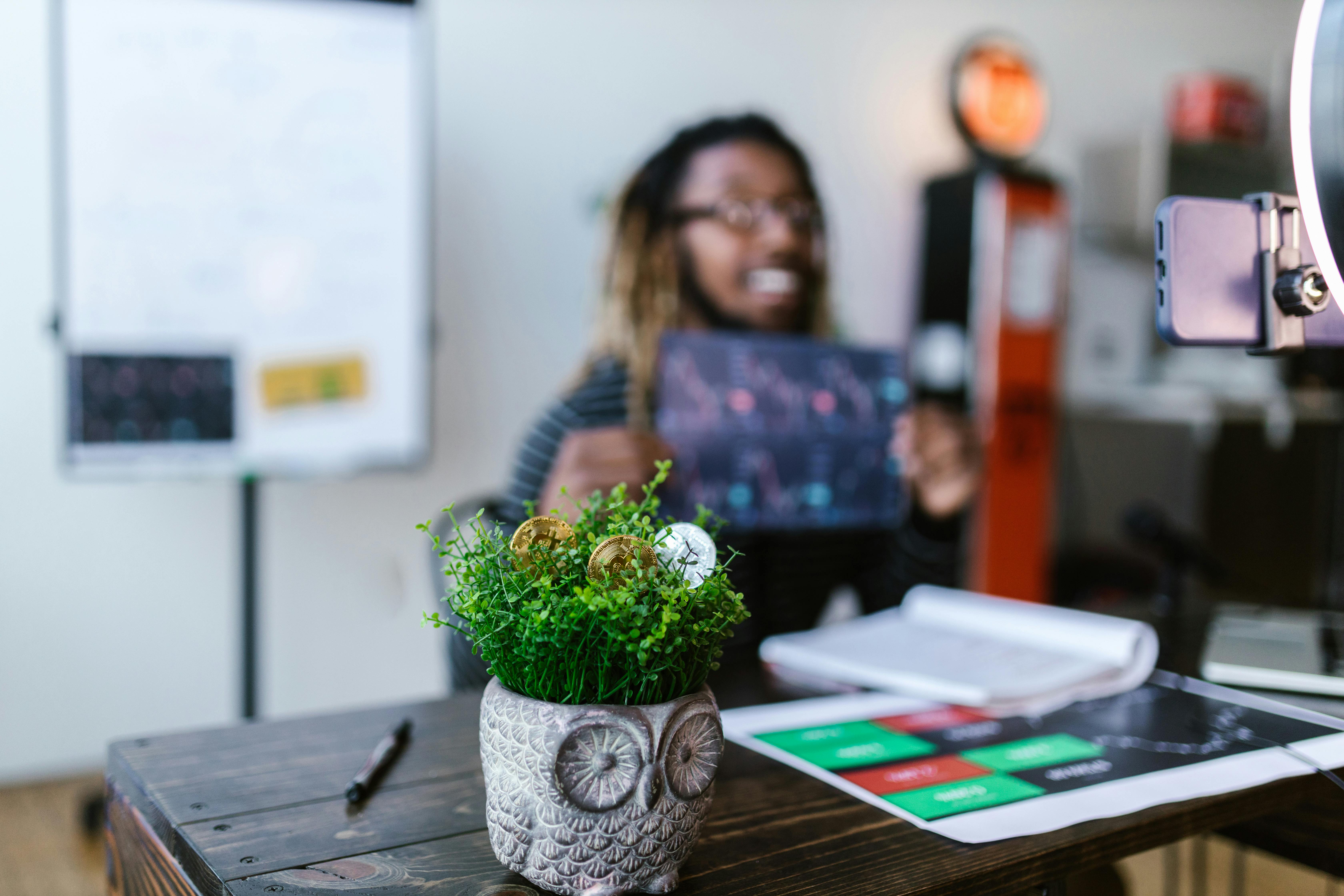 Growing coins plant metaphor